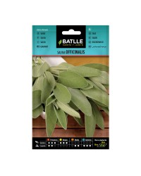Salvia Officinalis