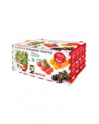 Huerto Premium Tomates cherry