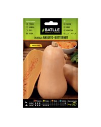 Calabaza Anquito-Butternut