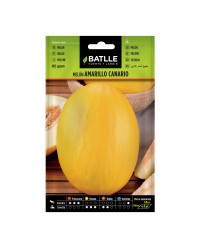 Melón Amarillo Canario