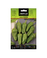 Pimiento de Padrón