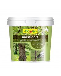 Pasta Cicatrizante - Masticort 1kg.