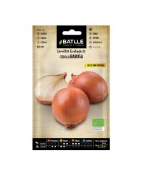 Cebolla Babosa Ecológica