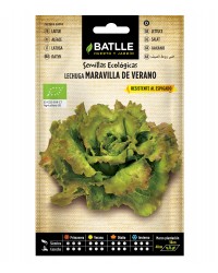 Lechuga Maravilla de Verano Ecológica